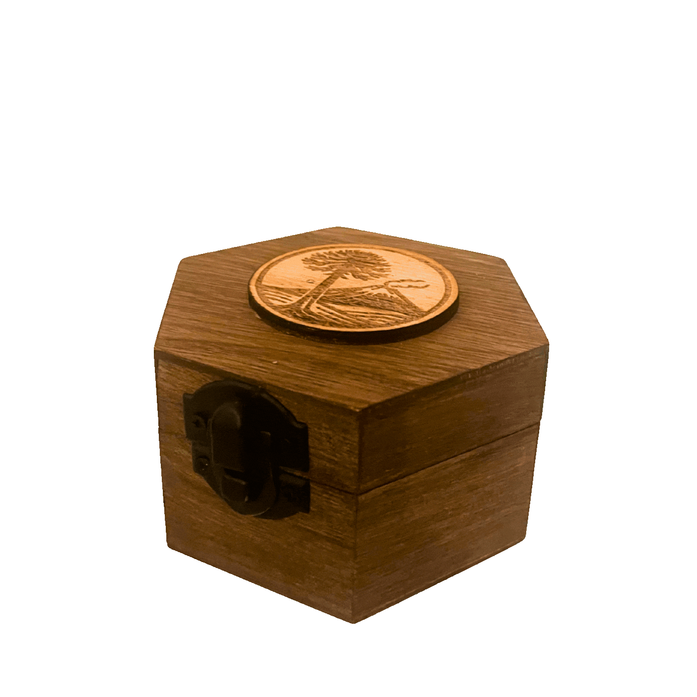 GIF piedra volcánica